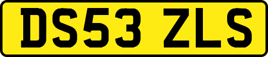 DS53ZLS