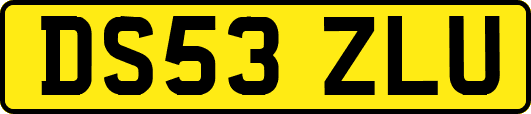 DS53ZLU