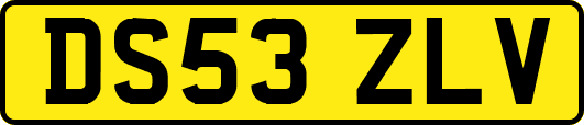 DS53ZLV