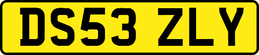 DS53ZLY