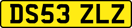 DS53ZLZ