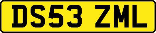 DS53ZML
