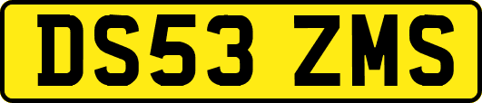 DS53ZMS