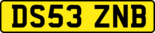 DS53ZNB