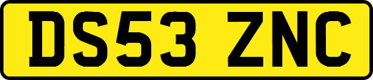 DS53ZNC