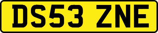 DS53ZNE