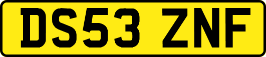 DS53ZNF