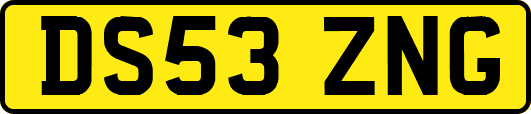 DS53ZNG