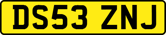 DS53ZNJ