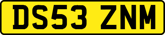 DS53ZNM