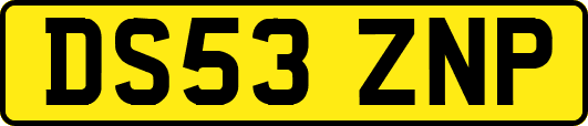 DS53ZNP