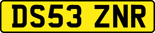 DS53ZNR