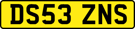 DS53ZNS
