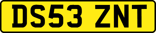 DS53ZNT