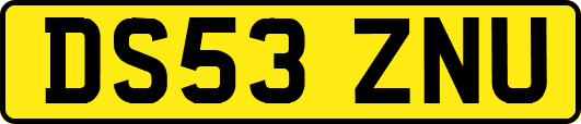 DS53ZNU