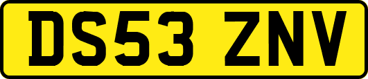 DS53ZNV