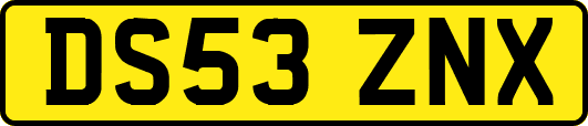 DS53ZNX