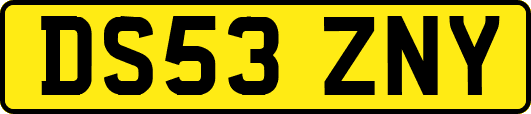 DS53ZNY