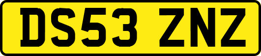 DS53ZNZ