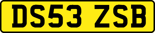 DS53ZSB