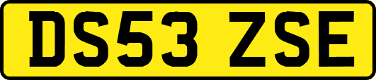 DS53ZSE