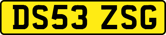 DS53ZSG