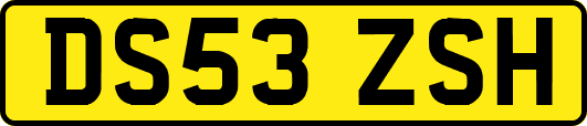 DS53ZSH