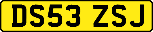 DS53ZSJ