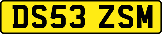 DS53ZSM