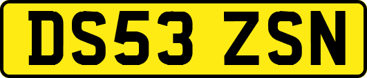 DS53ZSN