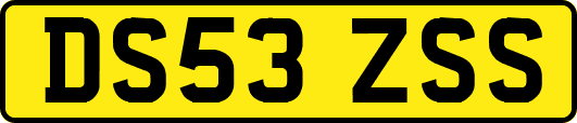DS53ZSS