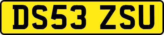 DS53ZSU