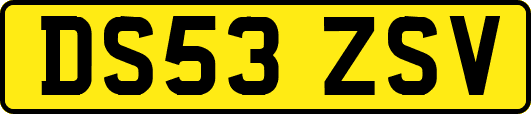 DS53ZSV