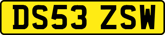 DS53ZSW
