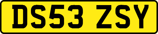 DS53ZSY