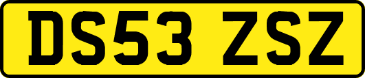 DS53ZSZ