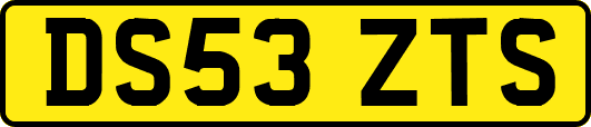 DS53ZTS