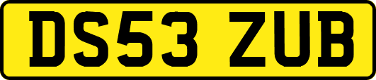 DS53ZUB