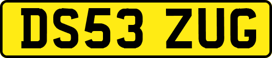 DS53ZUG