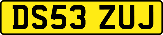 DS53ZUJ