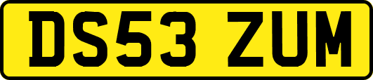 DS53ZUM
