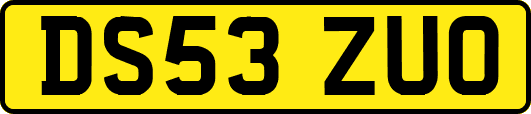 DS53ZUO