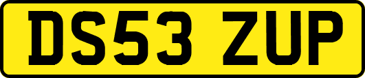 DS53ZUP