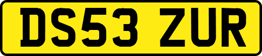 DS53ZUR