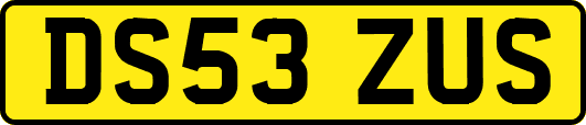 DS53ZUS