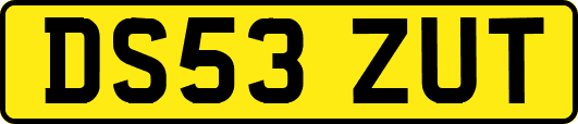 DS53ZUT