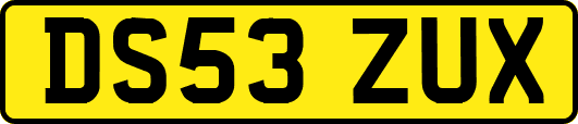 DS53ZUX