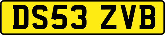 DS53ZVB