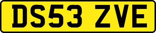 DS53ZVE