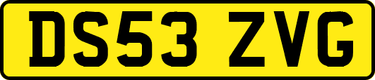 DS53ZVG